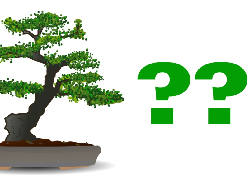 An illustration of a bonsai tree followed by three question marks.